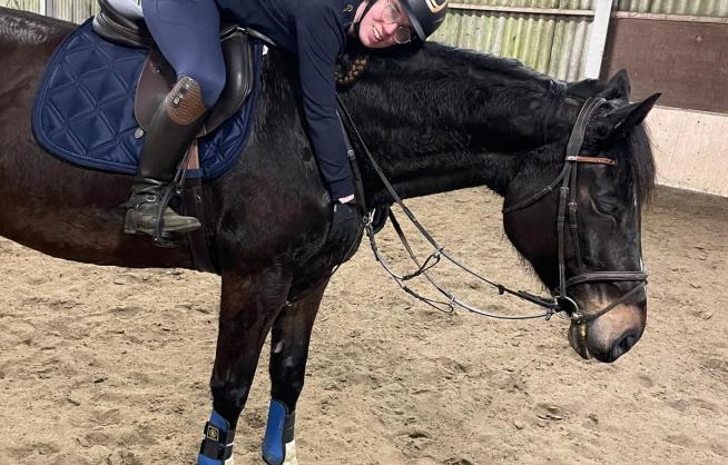 paardenknuffel