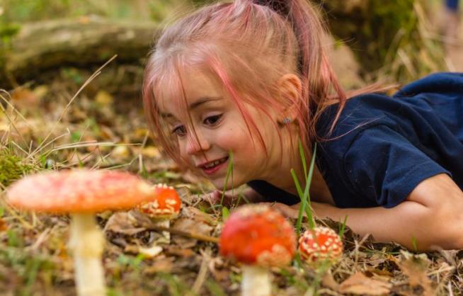 Meisje dat paddenstoelen bestudeert 