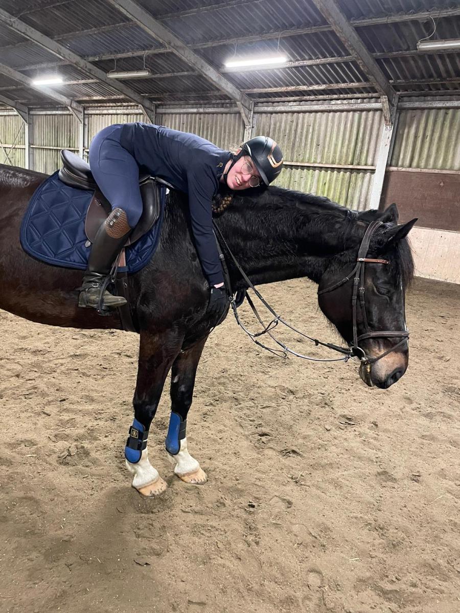 paardenknuffel