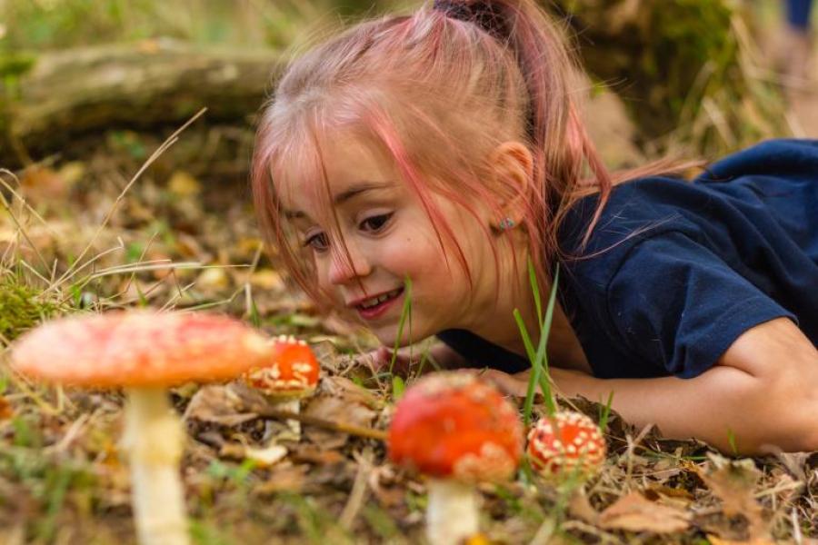 Meisje dat paddenstoelen bestudeert 